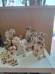 IMG-20250730-WA0013