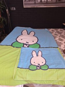 5c1946e0-8b45-455b-815d-657e2e96c4fe