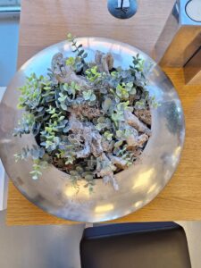 bce0b694-703c-4521-920c-9f1a58d5cca7